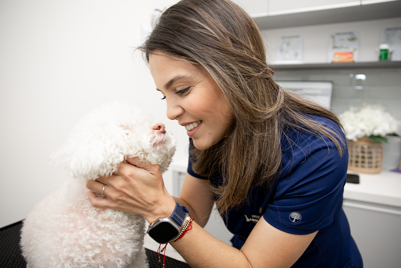 staff member smiling at a dog
