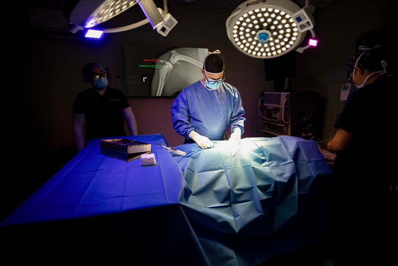 Dr. Dominquez performing surgery on a pet